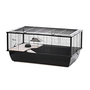 Little Friends Grosvenor Rat and Hamster Cage with Wooden Shelf and Ladder, Large, 78 x 48 x 36 cm, Black