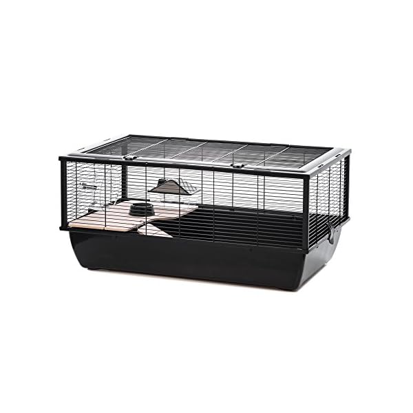 Little-Friends-Grosvenor-Rat-and-Hamster-Cage-with-Wooden-Shelf-and-Ladder-Large-77-x-47-x-36-cm-Black Little Friends Grosvenor Rat and Hamster Cage with Wooden Shelf and Ladder, Large, 78 x 48 x 36 cm, Black