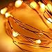 Litake Waterproof Battery String Lights Silver Wire Fairy Indoor LED String Light for Decorative Christmas Holiday Wedding Parties(6.5ft-20LEDs-Warm White-CR2032 Battery Box)-2 Packs