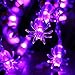 Joomer 20 LED Spider Halloween String Lights, Purple