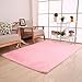 Super Soft Modern Shag Area Rugs Living Room Carpet Bedroom Rug for Children Play Solid Home Decorator Floor Rug and Carpets (50 x 80 cm, Pink)