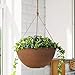 Hanging Flower Pots for Outdoor Plants, Garden Hanging Planters Set of 2(13.2 Inch, Terracotta Color)