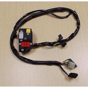 Amazon.com: 1999-2004 Honda TRX 400 TRX400 TRX400EX Electric Start Kill