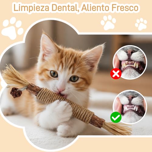 KIZCGE 7PCS Natural Silvervine Dental Sticks, Juguetes para Masticar Gatos | Cuidado Dental y Limpieza de Dientes - Mordedera para Gato, Bite Resistant, Relieve Anxiety, Boost Appetite