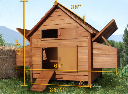 Rambler Backyard Chicken Coop Great For 6 10 Chickens Amazonca