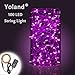 Yoland LED Copper Wire Lights, 33Ft 100LEDs with 12V AC/DC Power Adapter String Light, Fairy Starry Light for Christmas, Holidays, Garden, Party, Patio Decor, Purple