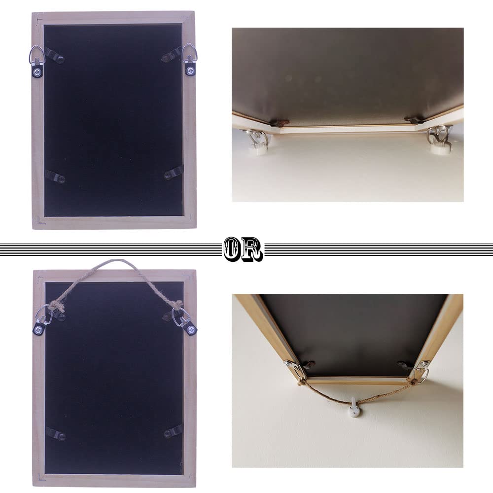 D-Ring Picture Hangers with Screws, 50 Pcs Single Hole Picture Hanging Hardware, Picture Hooks for Mirror, Clock, Decoration, Paintings, Artwork Picture Frame