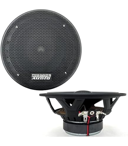 Amazon.com: Sundown Audio SA-69CX v2 6