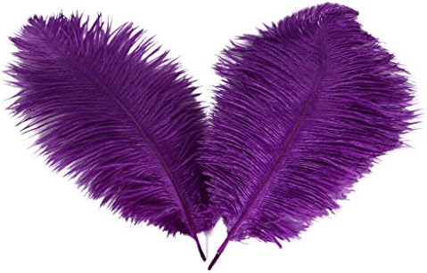 Wionya 10pcs Ostrich Feather Craft 12-14inch(30-35) Plume for Wedding Centerpieces Home Decoration