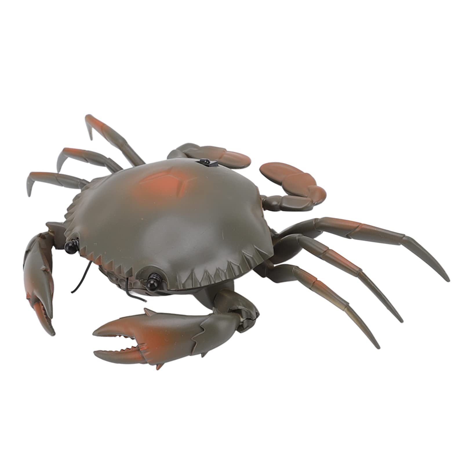 Syrisora Remote Control Toy, Remote Controlled Crab Toy, Educational Simulated Sea Life, Electric Crab Animal Model for Children, Birthday Gift (Cyan)