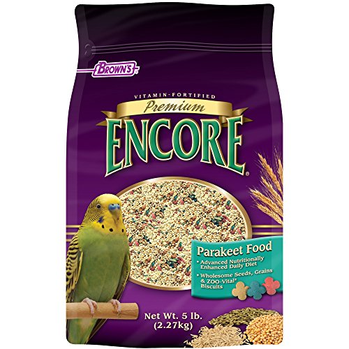 Best Parakeet Food List for a Healthy Diet & Also Parakeet Treats