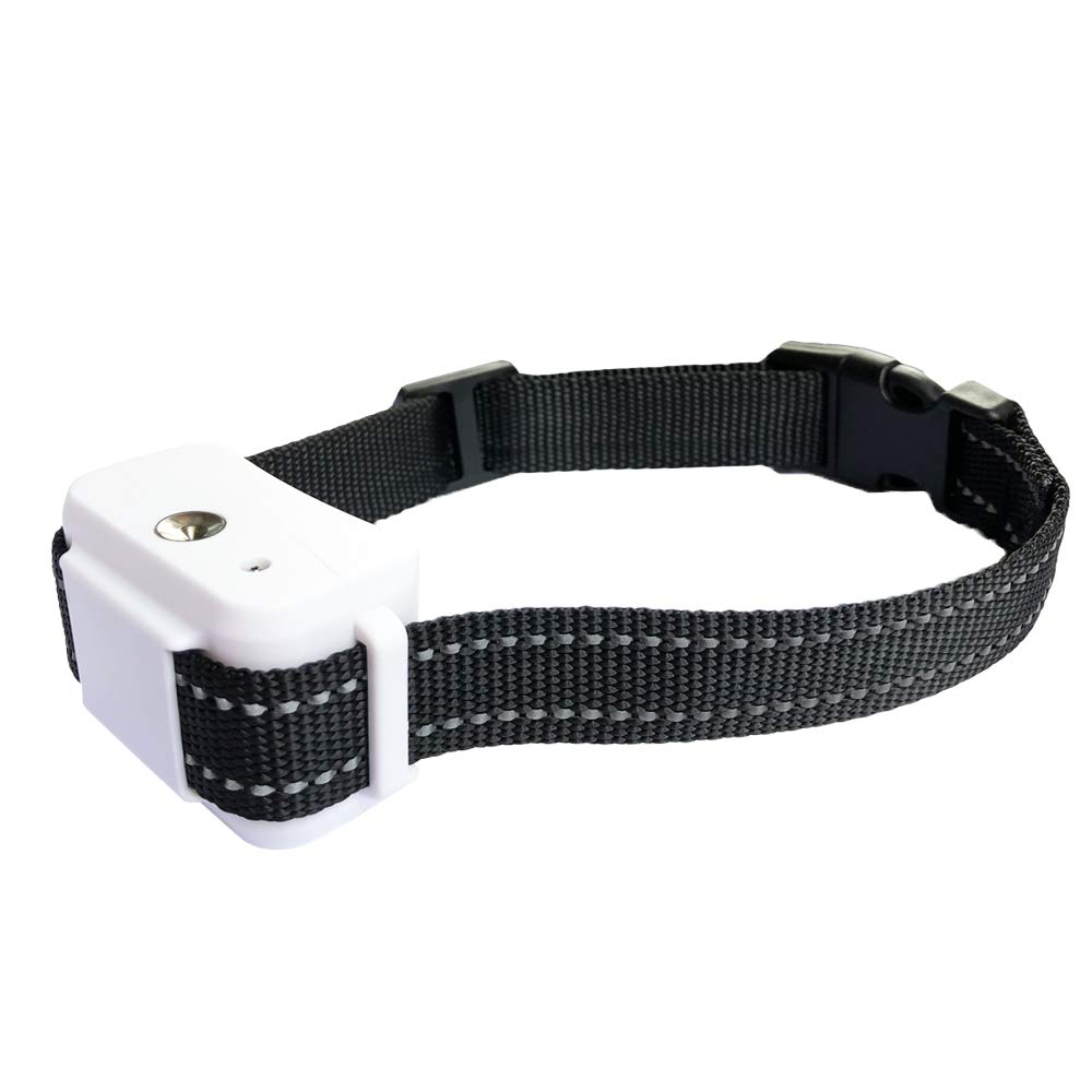 citronella no bark collar