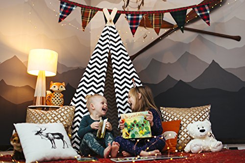 Bendon 45600 Piggy Toes Press Ten Little Ladybugs Counting Storybook