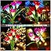 Loren Solar Lights Outdoor - New Upgraded Solar Garden Lights, Multi-Color Changing Lily Solar Flower Lights for Patio,Yard Decoration, Bigger Flower and Wider Solar Panel (2Pack)