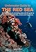 Underwater Guide to the Red Sea