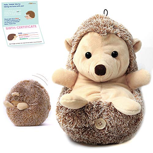 InFLOATables Hedgehog Stuffed Animal 11 Inch Hedgehog Toy Soft