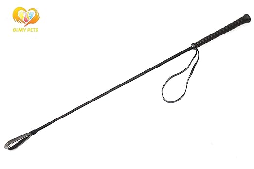 OI MY PETS Dog Training Pet Control Stick/Hunter (Colour May Vary)