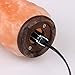 Lecoolife Himalayan Salt Lamp Cord Original Replacement 5 Ft UL-Listed Cord with Dimmer Switch With One 25w Bulbs (Black)