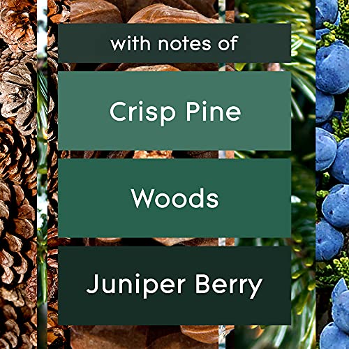 Glade Automatic Spray Refill, Air Freshener for Home and Bathroom, Pine