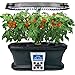 AeroGarden Red Heirloom Cherry Tomato Seed Pod Kitthumb 2
