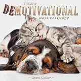 The 2019 Demotivational Wall Calendar by