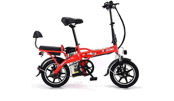 double electric bike