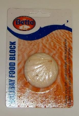 betta fish holiday food