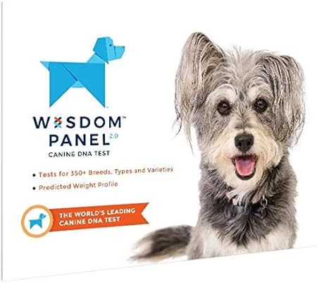 Wisdom Panel 2 0 Dog Breed Dna Test 2pk For 2 Dogs More Than 350 Breeds From Wisdom Health Amazon Co Uk Pet Supplies