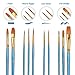 BOSOBO Paint Brush Sets, 6 Pack 60 Pcs Pointed-Round Tip Paintbrushes Nylon Hair Artist Acrylic Paint Brushes for Acrylic Watercolor Oil, Face Art, Model, Miniature Detailing & Rock Painting, Blue
