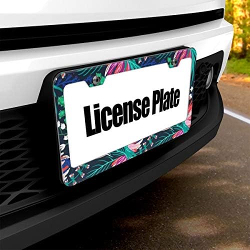 新作製品 世界最高品質人気 軽自動車適用 錆びにくい レトロ アクセントナンバー タグホルダー 掛けやすい B0wzwxcs ナンバープレート 前後2枚セット 楽器 音響機器 装飾ボーダー アルミ製 レクサス 100 品質保証 正規品送料無料 ナンバーフレーム フレームセット