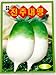 Radish Seeds Korean .2 Pack(4grams-each)