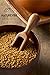 Naturevibe Botanicals Fenugreek Capsules, Ultra-Premium –100% Fenugreek, Methi Seeds | 1000mg Per Serving | 180 Veg Capsules