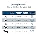 Animals Favorite Dog Bed (20x16.6-inches)