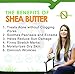Nilotica Organics Natural Whipped Shea Butter Cream with Coconut and Ginger for Skin