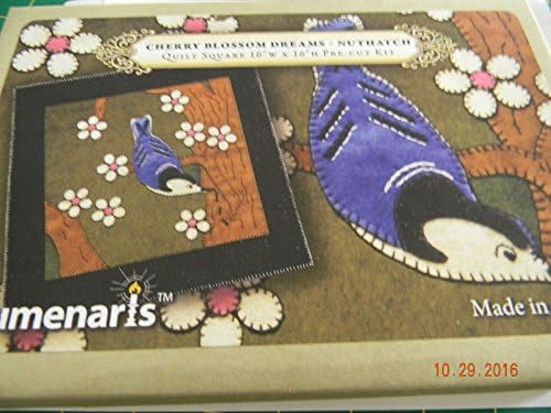 Cherry Blosso, Dreams with nuthatch