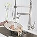 FLG Commercial Style Single Handle Pull Down Kitchen Sink Faucet with Lock Sprayer,Brushed Nickel