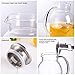 75 Ounces Large Heat Resistant Glass Beverage Pitcher with Stainless Steel Lid, Borosilicate Water Carafe with Spout and Handle, Perfect for Homemade Juice and Iced Tea