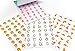 Bocianelli 1000 Animal Stickers for Kids, Teachers, Rewards Or Scrapbooking - Sticker Book Includes 25 Tear Away Sticker Sheets with Over 240 Unique Designs