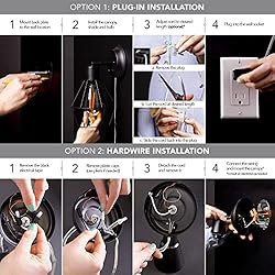 Globe Electric 51845 2-Light Plug-in or Hardwire