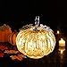 denlix Mercury Glass Pumpkin Lights 5.5 Inches Timer Pumpkins Decorations Tables Centerpieces Decorative Fall Decor