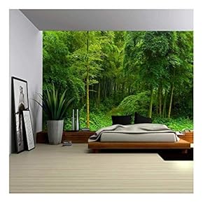 Wall26 - Hidden Path in a Bamboo Forest - Wall Mural, Removable Sticker, Home Decor - 66x96 inches