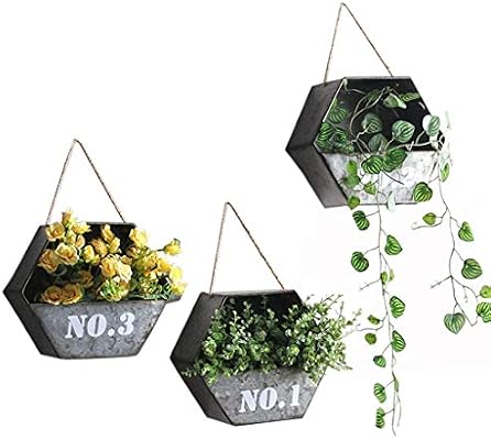JKL-Soportes para plantas 3 Productos Soporte de flores para ...