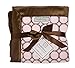 SwaddleDesigns Stroller Blanket, Cozy Plush Baby/Toddler Blanket, 30x40 inches, Pastel Pink and Brown Mod Circles with Satin Trim