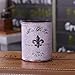 LINKWELL Antique French Country Fleur De Lis Lys PU leather Pencil Pen Holder Desk Organizer PH02