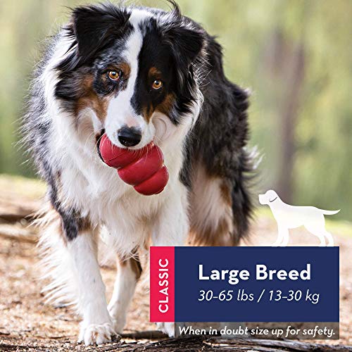 KONG Classic Dog Toy for Large Dogs - Image 2