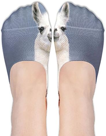 SboS Womens Llama Wearing Scarf No-Show Socks Casual Anti Slip Low Cut Crew Boat Sock Hidden Flat Line
