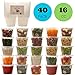 Healthy Packers Deli Food Storage Containers with Lids - 16 oz. Leakproof Clear Plastic Deli Cups - BPA Free, Microwaveable, Freezer and Dishwasher Safe. (40 Pack)