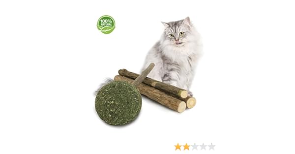 catnip lollipop with matatabi stick