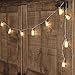 Dailyart 40LED String Light Starry Light for Gardens, Home, Wedding, Christmas Party, Battery-Powered (White)