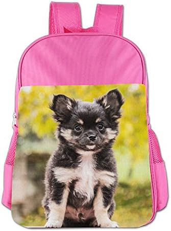 Chihuahua Mexico Children Outdoor Lightweight Backpacks Bag Shoulder School Bags Book Bags